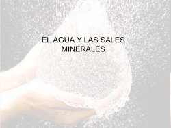 Tema 2 Agua y Sales Minerales