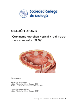 XI SESI&Oacute;N UROMIR - Sociedad Gallega de Urolog&iacute;a