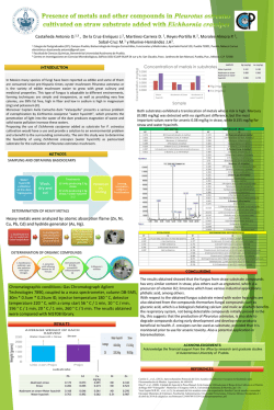 Presentaci&oacute;n de PowerPoint
