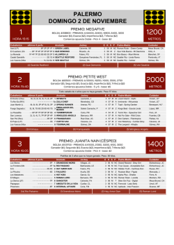 palermo domingo 02 - varios cuerpos