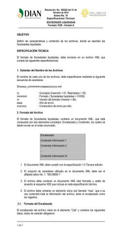 Anexo 10 Formato 1039v6 - Dian