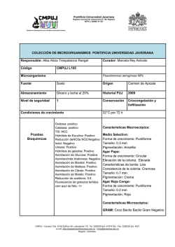 CMPUJ L105.pdf - Repositorio Institucional - Pontificia Universidad