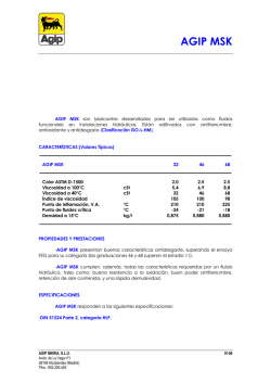 AGIP MSK - Comercial Mendoza