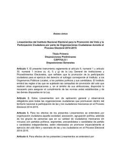 Anexo &uacute;nico Lineamientos del Instituto Nacional Electoral para la