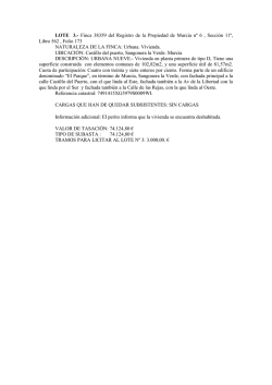 descripci&oacute;n del lote en formato PDF