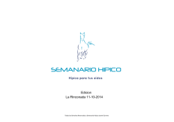 1 - hipicodeportivo