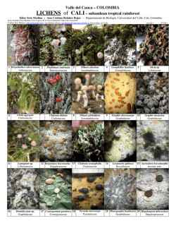 COLOMBIA LICHENS of CALI&ndash; subandean tropical - Field Guides