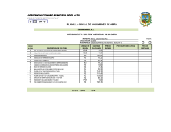 PLANILLA OFICIAL DE VOLUMENES DE OBRA