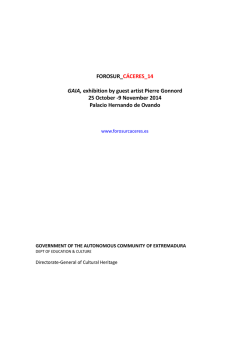 9 November 2014 Palacio Hernando de Ovando - Foro Sur