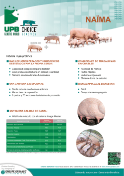 Cerda Hiperprolifica NA&Iuml;MA - UPB Genetic World
