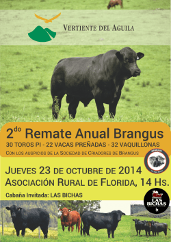 Catalogo Brangus 2014 web.cdr