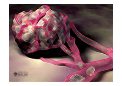 Aspectos t&eacute;cnicos