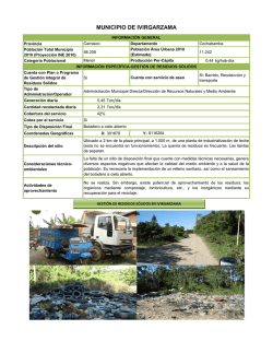 MUNICIPIO DE IVIRGARZAMA - ANESAPA