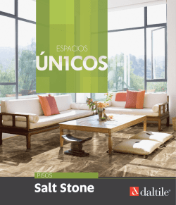 Folleto del producto Ficha T&eacute;cnica - Daltile