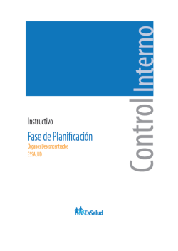 Instructivo &ndash; Fase de Planificaci&oacute;n - EsSalud