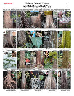 ARBOLES LLAMATIVOS - Field Guides - The Field Museum