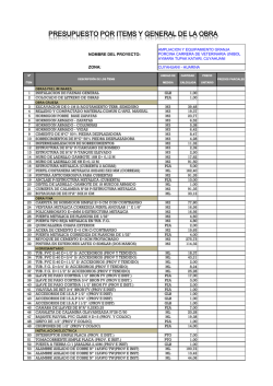 PRESUPUESTO POR ITEMS Y GENERAL DE LA OBRA