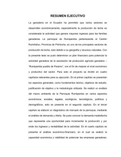 RESUMEN EJECUTIVO - Repositorio Digital ESPE