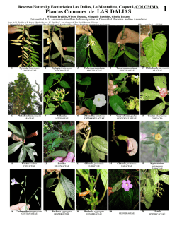 Plantas Comunes de LAS DALIAS - Field Guides - The Field Museum
