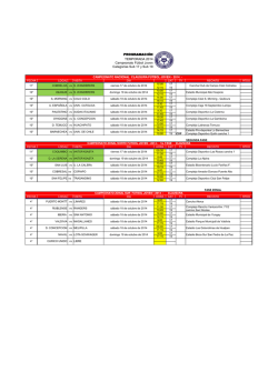 PROGRAMACI&Oacute;N TEMPORADA 2014 Campeonato F&uacute;tbol - Anfp