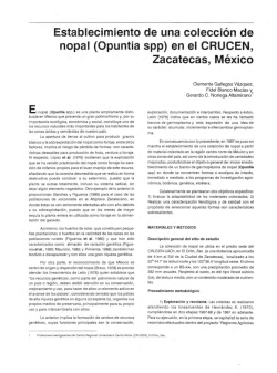 Establecimiento de una colecci&oacute;n de nopal (Opuntia spp) en el