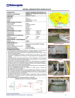 CENTRAL HIDROEL&Eacute;CTRICA RUNATULLO III