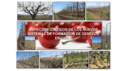 Patricio Espinosa - Aspectos Cr&iacute;ticos De Los Nuevos Sistemas De