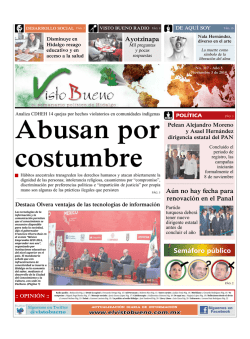 Descargar PDF - El Visto Bueno