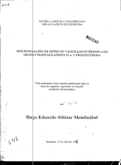 Sincronizaci&oacute;n De Astro En Vaquillas De Reemplazo Usando