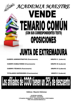 CCOO-Academia Maestre.