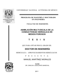 T    E     S    I     S DOCTOR EN INGENIER&Iacute;A - UNAM