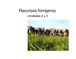 (Microsoft PowerPoint - Introducci\363n reservas [Modo de