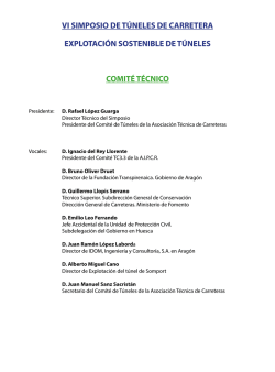 comit&eacute; t&eacute;cnico - vi simposio de t&uacute;neles de carretera