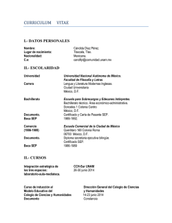 CURRICULUM VITAE - P&aacute;ginas Personales UNAM