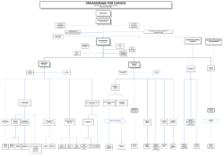 ORGANIGRAMA POR CARGOS - Universidad Privada Domingo Savio