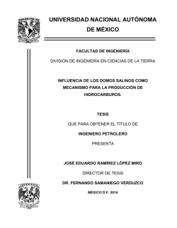 Influencia de l cci&oacute;n de Hidrocarburos.pdf - UNAM