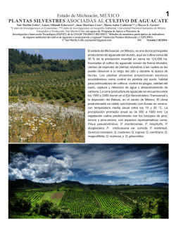 plantas silvestres - Field Guides