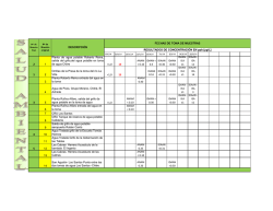 1,0 13 ANAM  0.10 IDA