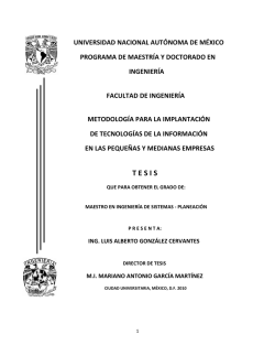 T E S I S - UNAM