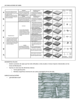 Clase estructuras primarias 2&deg; parte