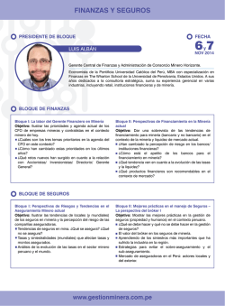 FINANZAS Y SEGUROS - GESTION MINERA