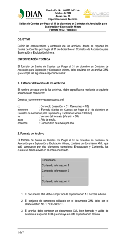 Anexo 38 Formato 1052v8 - Dian