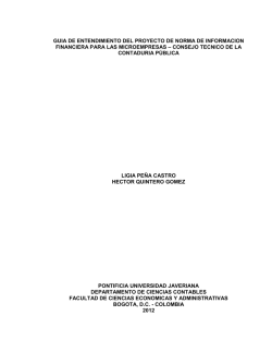 guia de entendimiento del proyecto de norma de informacion