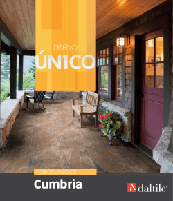 Folleto del producto Ficha T&eacute;cnica - Daltile