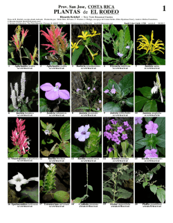 PLANTAS de EL RODEO - Field Guides - The Field Museum