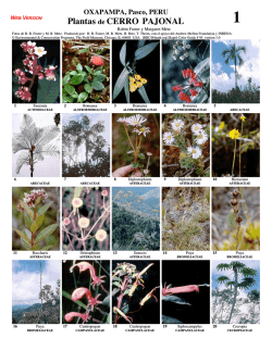Plantas de CERRO PAJONAL - Field Guides - The Field Museum