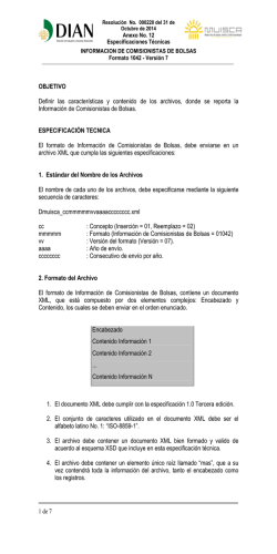 Anexo 12 Formato 1042v7 - Dian