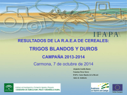 Resultados de los ensayos de RAEA - Agr&iacute;cola Carmonense, sca