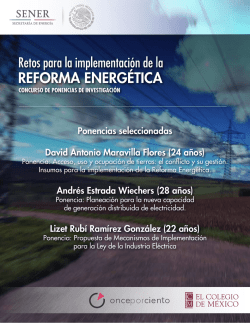 Ponencias seleccionadas David Antonio Maravilla Flores Andr&eacute;s