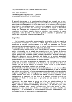 Diagn&oacute;stico y Manejo del Paciente con Hemoabdomen - ICVM14